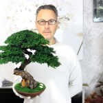 small Bonsai Tree in my hands. )