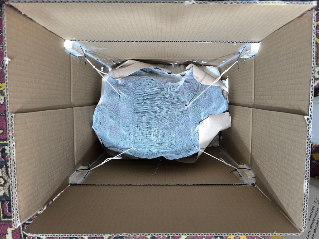 Small Bonsai in packaging