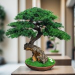 Preserved Bonsai tree in a ceramic pot