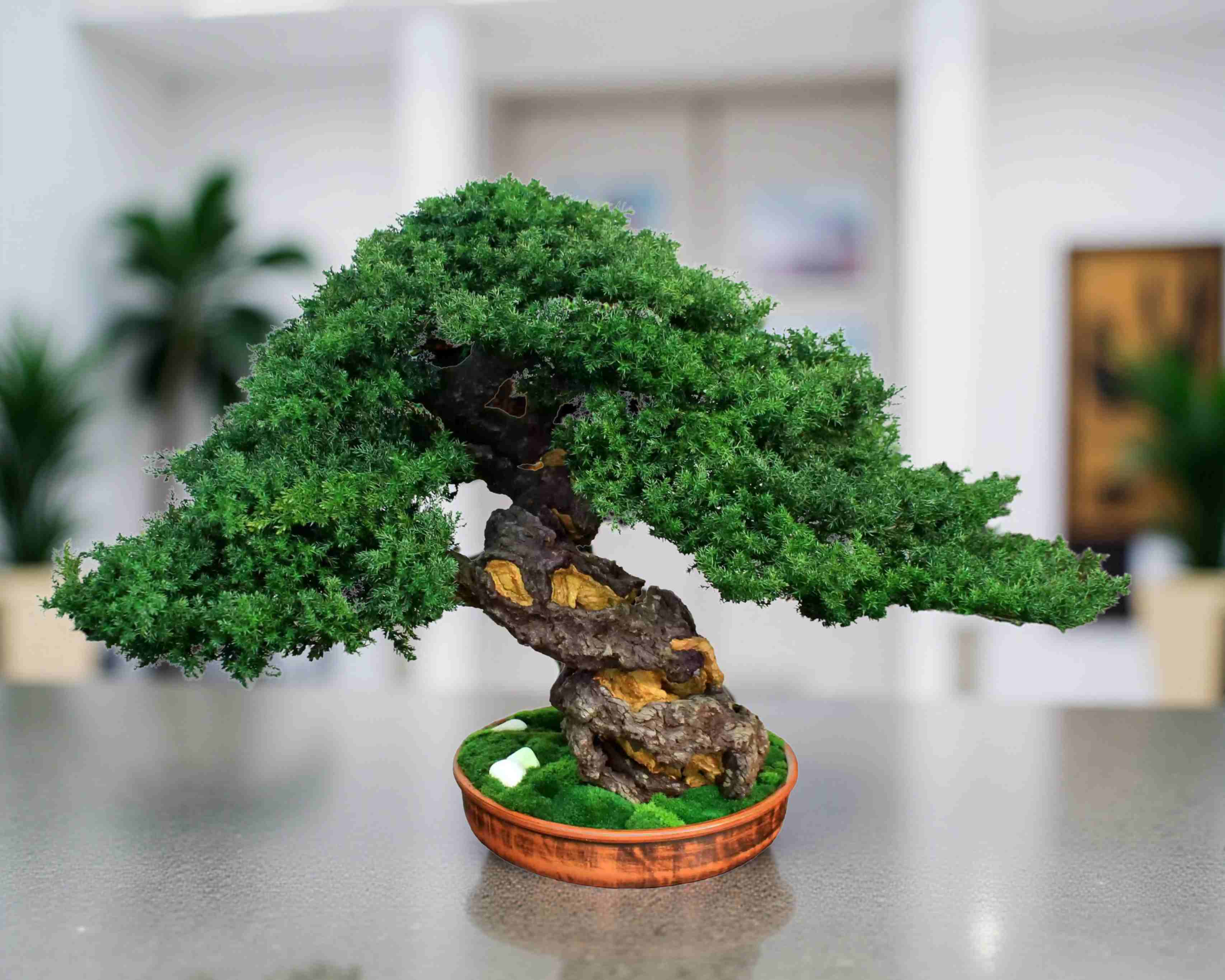 A meticulously crafted bonsai tree with vibrant green foliage and a twisted, textured trunk. The tree sits in a brown ceramic pot with a bed of green moss.