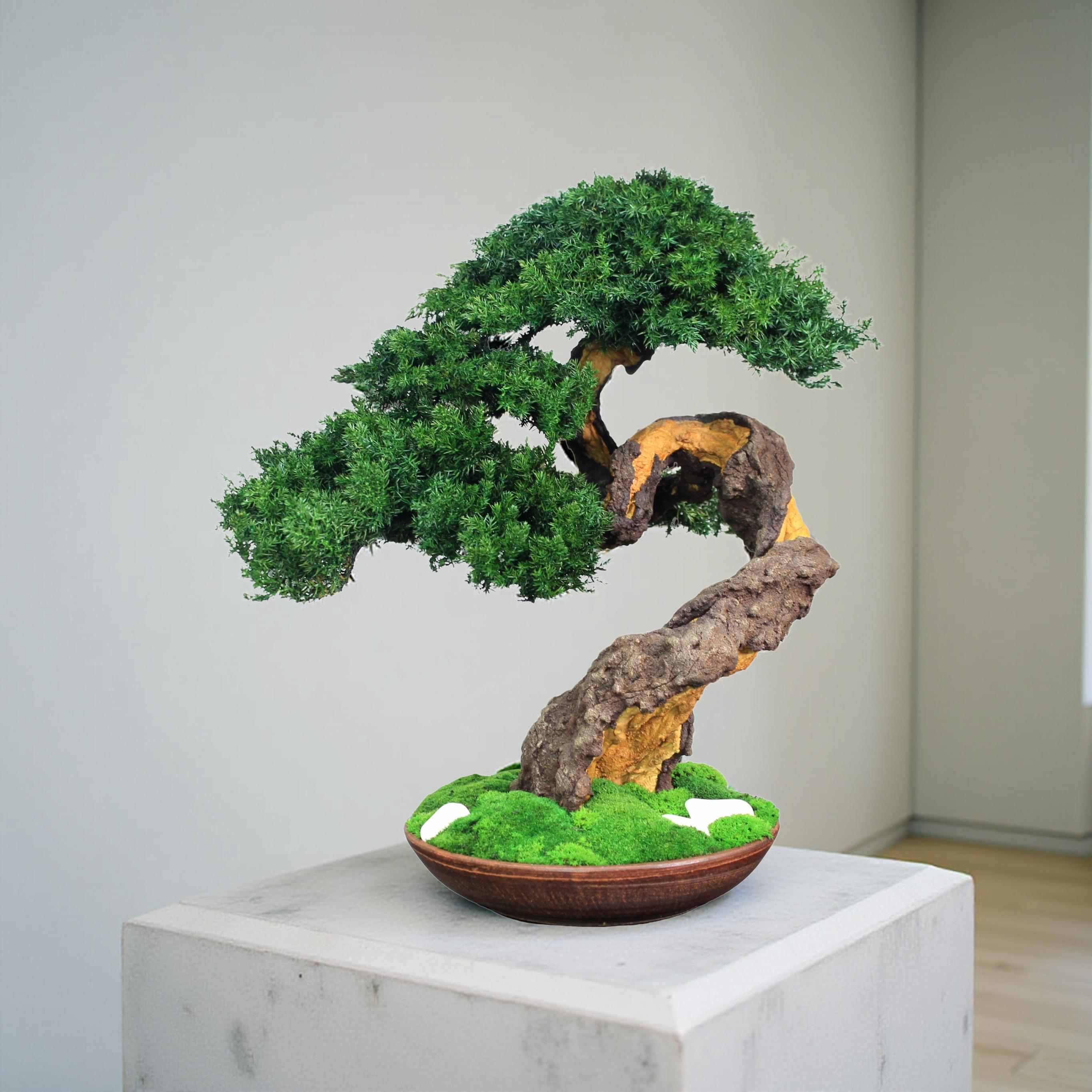 A meticulously crafted bonsai tree with vibrant green foliage and a twisted, textured trunk. The tree sits in a brown ceramic pot with a bed of green moss.
