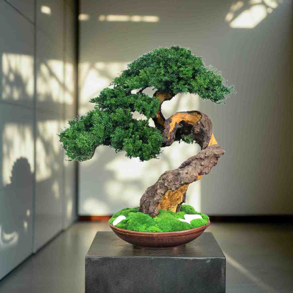A meticulously crafted bonsai tree with vibrant green foliage and a twisted, textured trunk. The tree sits in a brown ceramic pot with a bed of green moss.