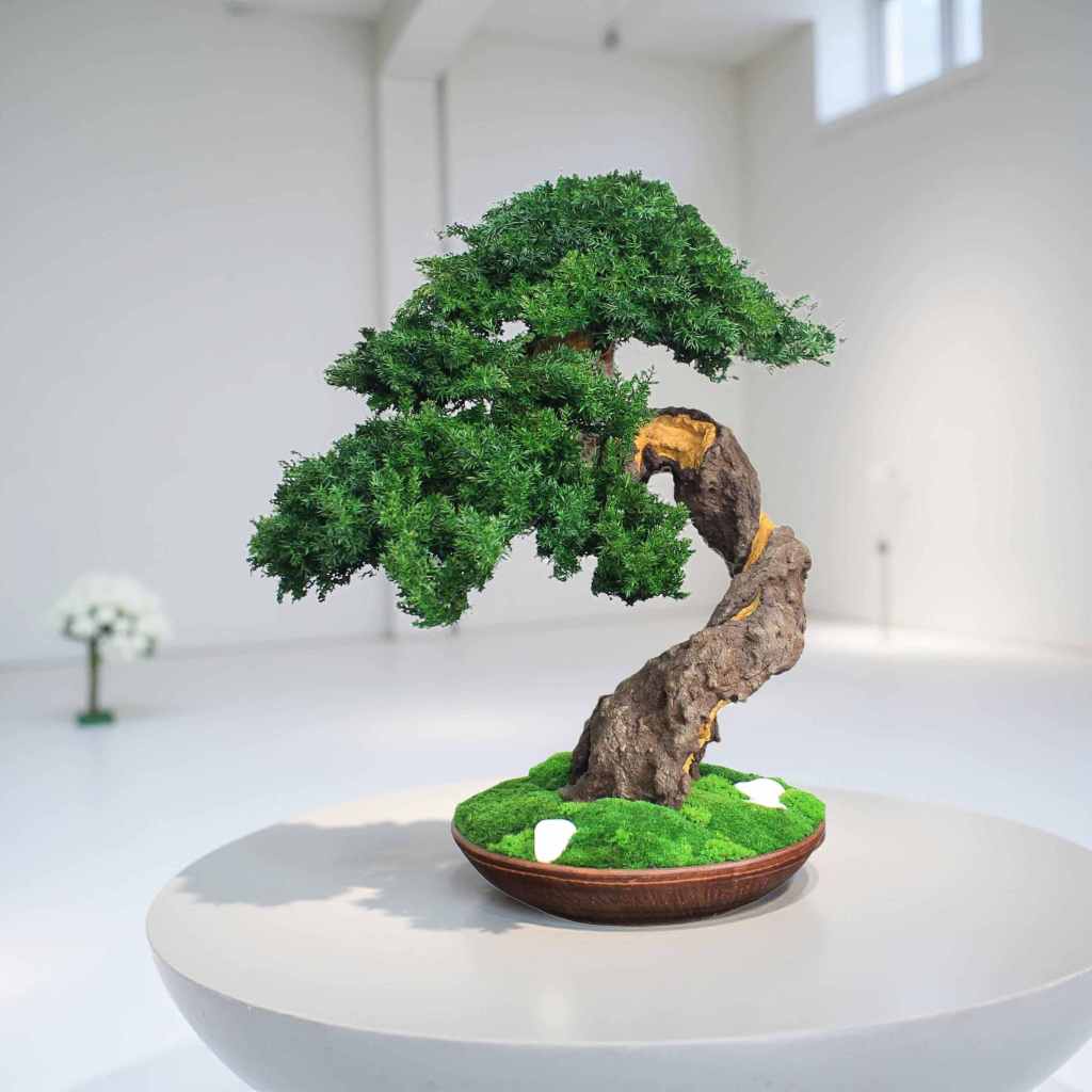 A meticulously crafted bonsai tree with vibrant green foliage and a twisted, textured trunk. The tree sits in a brown ceramic pot with a bed of green moss.
