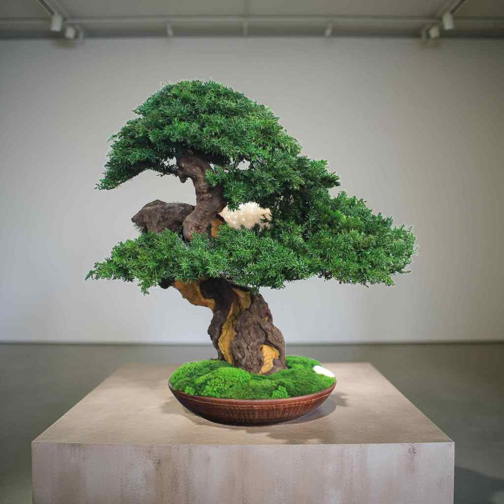 A meticulously crafted bonsai tree with vibrant green foliage and a twisted, textured trunk. The tree sits in a brown ceramic pot with a bed of green moss.