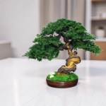 Juniper preserved bonsai tree 38 cm in living room.