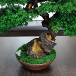 Juniper preserved bonsai tree moss detail