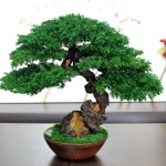 mini bonsai tree decor 36 cm handmade