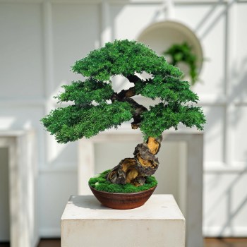 bonsai tree table decor modern interior 39 cm