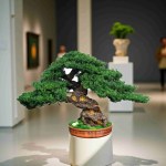 handmade bonsai tree present elegant decor 49 cm