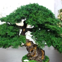 Juniper preserved bonsai tree side angle