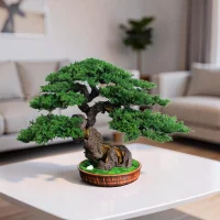 Juniper preserved bonsai tree 49 cm handmade in a modern living room.